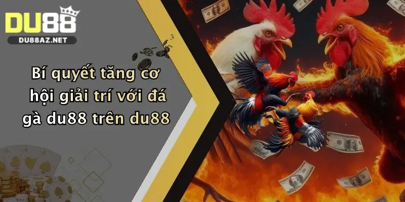 Bí quyết tăng cơ hội giải trí với đá gà du88 trên du88