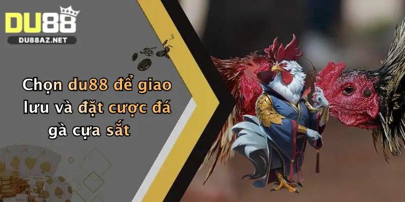 Chọn du88 để giao lưu và đặt cược đá gà cựa sắt