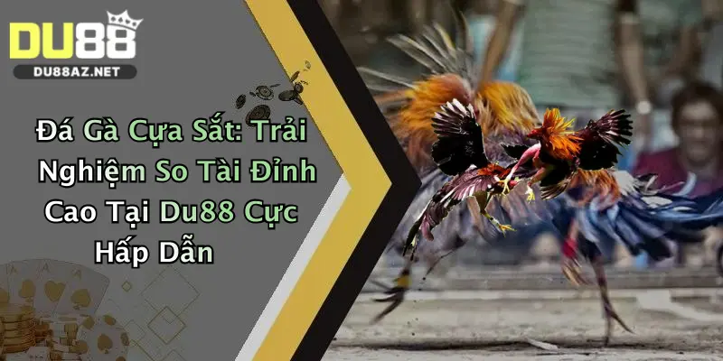 Đá Gà Cựa Sắt: Trải Nghiệm So Tài Đỉnh Cao Tại Du88 Cực Hấp Dẫn