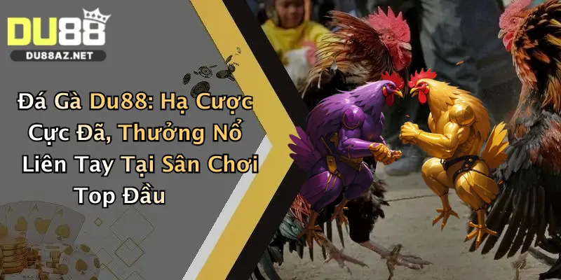 Đá Gà Du88: Hạ Cược Cực Đã, Thưởng Nổ Liên Tay Tại Sân Chơi Top Đầu