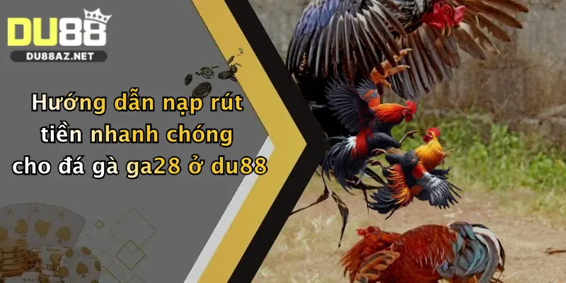 Hướng dẫn nạp rút tiền nhanh chóng cho đá gà ga28 ở du88