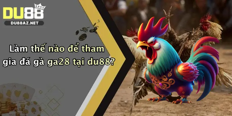 Làm thế nào để tham gia đá gà ga28 tại du88?