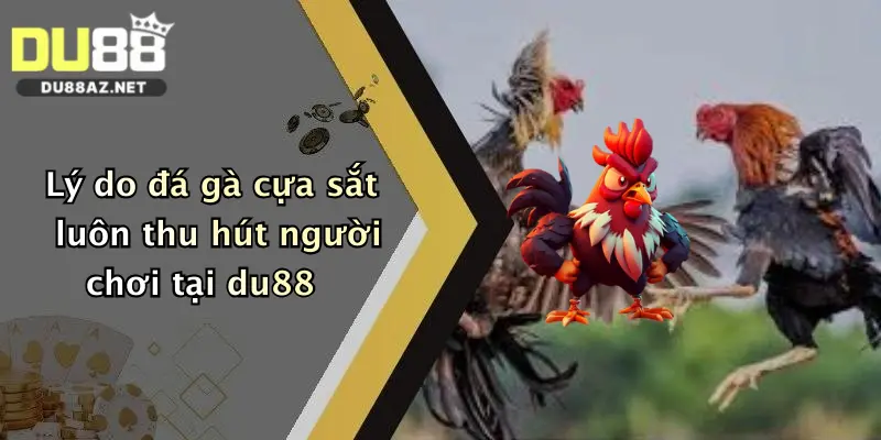 Lý do đá gà cựa sắt luôn thu hút người chơi tại du88