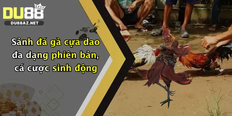 Sảnh đá gà cựa dao đa dạng phiên bản, cá cược sinh động