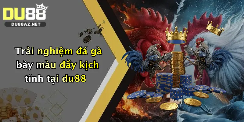 Trải nghiệm đá gà bảy màu đầy kịch tính tại du88